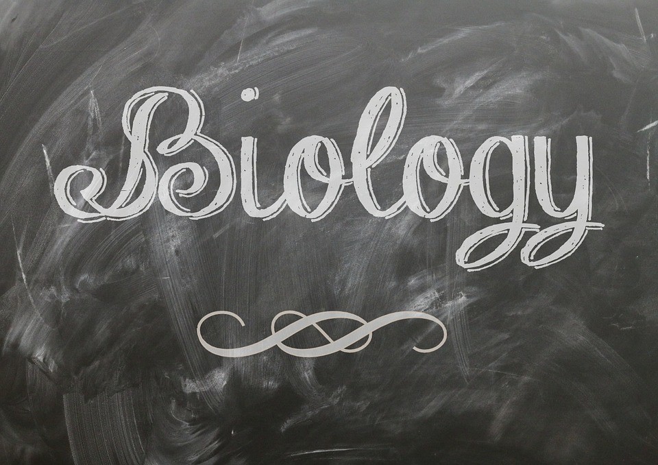 free biology education project topics and materials pdf